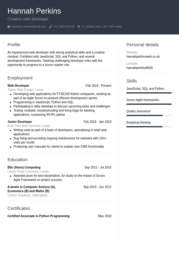 Web Developer Cv Example 