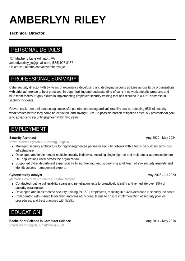 Marketing Resume Example 