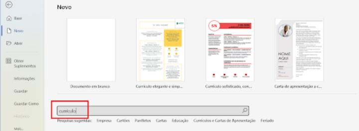 curriculum vitae word
