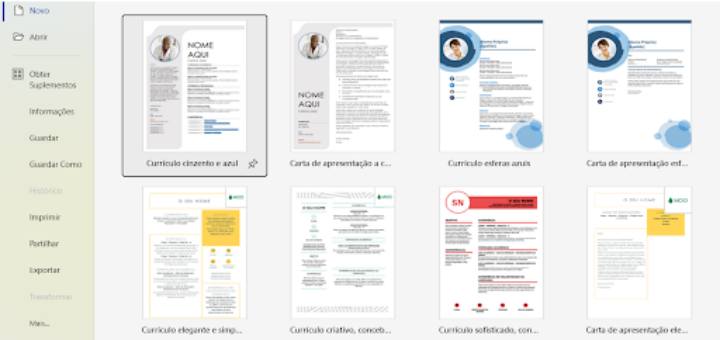 curriculum vitae word